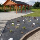 „Zielona klasa pod chmurką” – Mamy to!