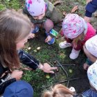 Pierwszy dzień jesieni u Misiów z Grodkowic – rozpoczęciem projektu ogólnopolskiego „Z darami natury świat nie jest ponury”