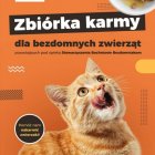 Zbiórka karmy dla bezdomnych zwierząt