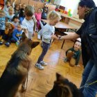 Przedszkole w Szarowie bierze udział w projekcie „Bliżej pieska”