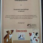 Zbiórka kramy dla potrzebujących zwierzaków