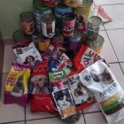 Zbiórka kramy dla potrzebujących zwierzaków