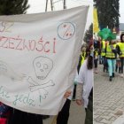 Szkoła Podstawowa w Targowisku w kampanii społecznej No Promil-No Problem