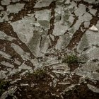 Reagujmy na akty wandalizmu!