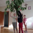 Pająkowy zawrót głowy