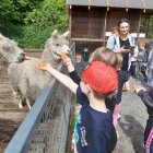 Wycieczka Przedszkolaków z Grodkowic na ,,Rogate Ranczo”