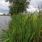 Od 15 lipca 2022 oficjalnie rusza łowisko na terenie Doliny Raby