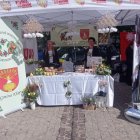 Koło Gospodyń Wiejskich Gruszki na półfinale Festiwalu „Polska od Kuchni”