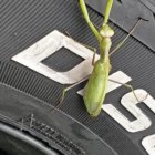 Mieszkańcy Targowiska na Złombolu swoim Lublinem rodem z PRL-u