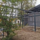 Wznowiono pracę w centrum Kłaja
