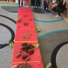 Misie z Grodkowic realizują projekt edukacyjny "Sensosmyki"