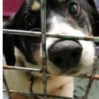 Wdzięczność jest pamięcią serca