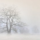 Ostrzeżenie meteorologiczne 