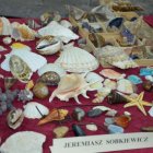 Izbą Regionalną zawładnęli hobbyści Gminy Kłaj