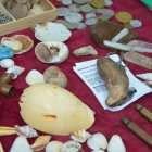 Izbą Regionalną zawładnęli hobbyści Gminy Kłaj