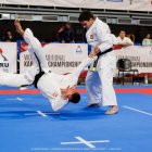 Mistrzostwa Świata w Karate Tradycyjnym