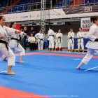 Mistrzostwa Świata w Karate Tradycyjnym