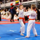 Mistrzostwa Świata w Karate Tradycyjnym