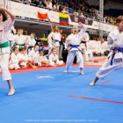 Mistrzostwa Świata w Karate Tradycyjnym