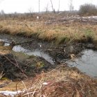 Światowy Dzień Mokradeł w Gminie Kłaj