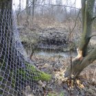 Światowy Dzień Mokradeł w Gminie Kłaj