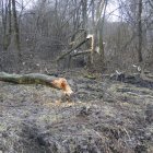 Światowy Dzień Mokradeł w Gminie Kłaj