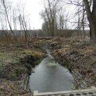 Światowy Dzień Mokradeł w Gminie Kłaj