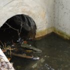 Światowy Dzień Mokradeł w Gminie Kłaj