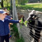 Przedszkolaki z Grodkowic z wizytą w Zagrodzie na Jędrzejkówce