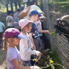 Przedszkolaki z Grodkowic z wizytą w Zagrodzie na Jędrzejkówce