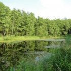 Światowy Dzień Mokradeł w Gminie Kłaj
