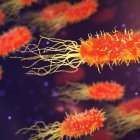 Działania zapobiegające zakażeniom bakteriami z rodzaju Legionella.