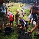 Marzą im się grube ryby.