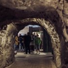 Senior w Muzeum: Ciekawostki z podziemnego świata.