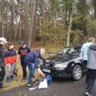 LAS TO NIE TYLKO DRZEWA