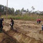 LAS TO NIE TYLKO DRZEWA