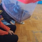 Lekcja zoologii w SP Brzezie.