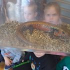 Lekcja zoologii w SP Brzezie.