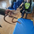 Lekcja zoologii w SP Brzezie.