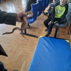 Lekcja zoologii w SP Brzezie.