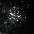 Z nowym rokiem, z nowym optymizmem, z nowymi postanowieniami!