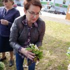 Wymiana roślin z osobami, które uwielbiają się nimi otaczać pozwala na ich ratowanie.