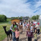 Wycieczka przedszkolaków z Grodkowic do AlpacaPark w Przebieczanach.