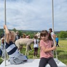 Wycieczka przedszkolaków z Grodkowic do AlpacaPark w Przebieczanach.