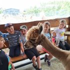 Wycieczka przedszkolaków z Grodkowic do AlpacaPark w Przebieczanach.