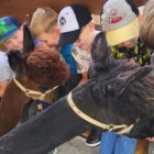 Wycieczka przedszkolaków z Grodkowic do AlpacaPark w Przebieczanach.