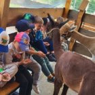 Wycieczka przedszkolaków z Grodkowic do AlpacaPark w Przebieczanach.