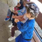 Wycieczka przedszkolaków z Grodkowic do AlpacaPark w Przebieczanach.