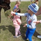 Wycieczka przedszkolaków z Grodkowic do AlpacaPark w Przebieczanach.