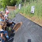 Wycieczka przedszkolaków z Grodkowic do AlpacaPark w Przebieczanach.